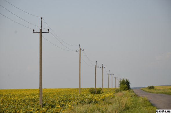 1044541_1_w_590