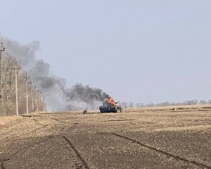1079848_w_300_lq