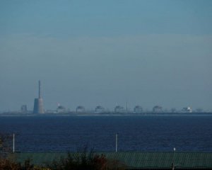 1121810_w_300